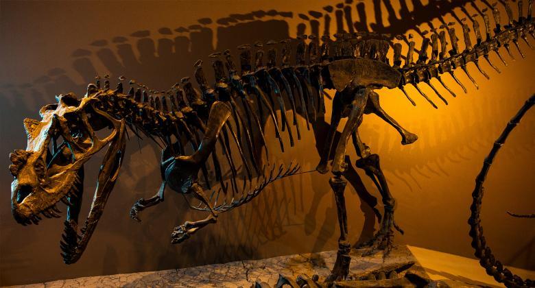 ceratosaurus blog 1 ikvl66